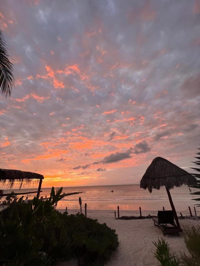 Casa Tom Tom - Adults Only Bed & Breakfast Isla Holbox Dış mekan fotoğraf