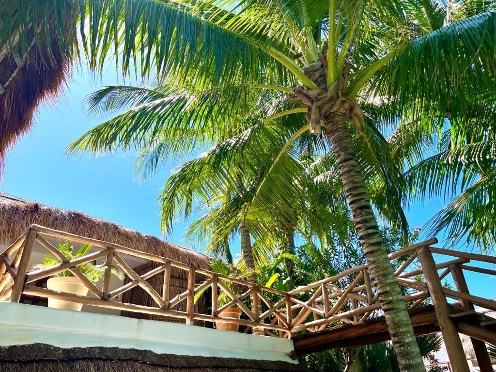 Casa Tom Tom - Adults Only Bed & Breakfast Isla Holbox Dış mekan fotoğraf